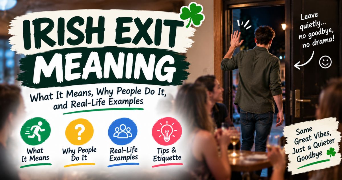 Irish Exit Meaning